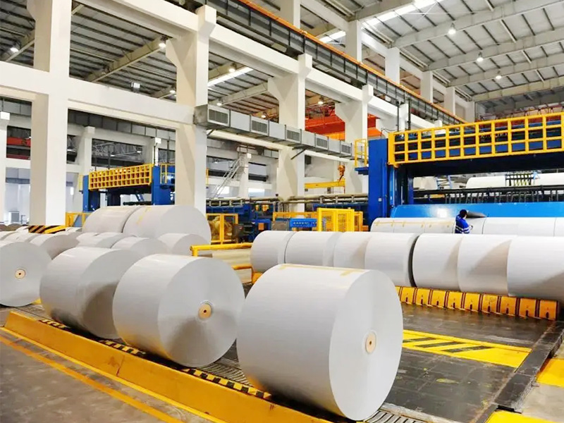 High-volume plant with staged paper rolls and marked floor lanes where forklifts run multi-shift material handling