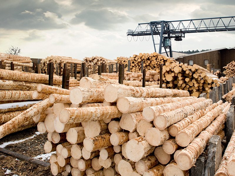 Outdoor industrial materials yard served by overhead lifting equipment, the kind of site where an accepted forklift enters service in its first week